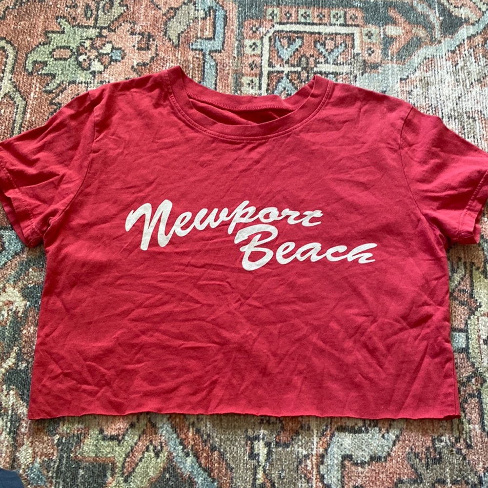 John Galt/ Brandy Melville crop top
